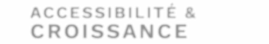 Web-txt-caccessibilité-et-croissance-flou-bg-